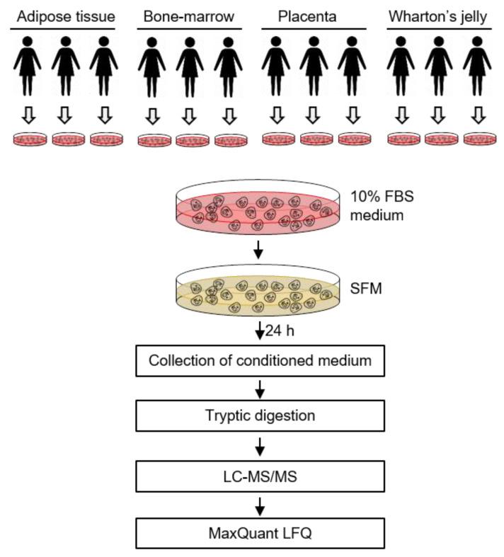 https://cdn.ncbi.nlm.nih.gov/pmc/blobs/9cf6/7829982/5b18cc35d2cd/ijms-22-00845-g001.jpg