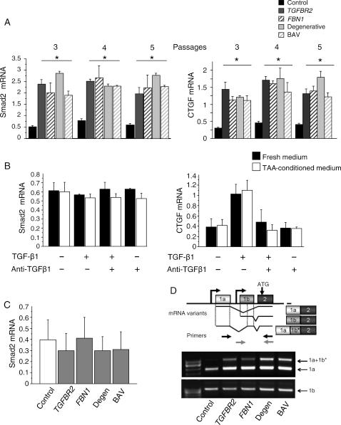 https://cdn.ncbi.nlm.nih.gov/pmc/blobs/9cf8/3020128/57c5afcfda2a/cvq29105.jpg