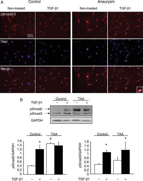 https://cdn.ncbi.nlm.nih.gov/pmc/blobs/9cf8/3020128/e21dd1368fd9/cvq29102.jpg