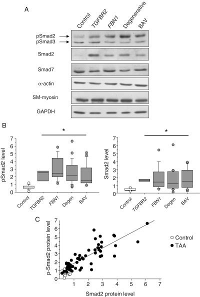 https://cdn.ncbi.nlm.nih.gov/pmc/blobs/9cf8/3020128/f6fb28b74b29/cvq29101.jpg