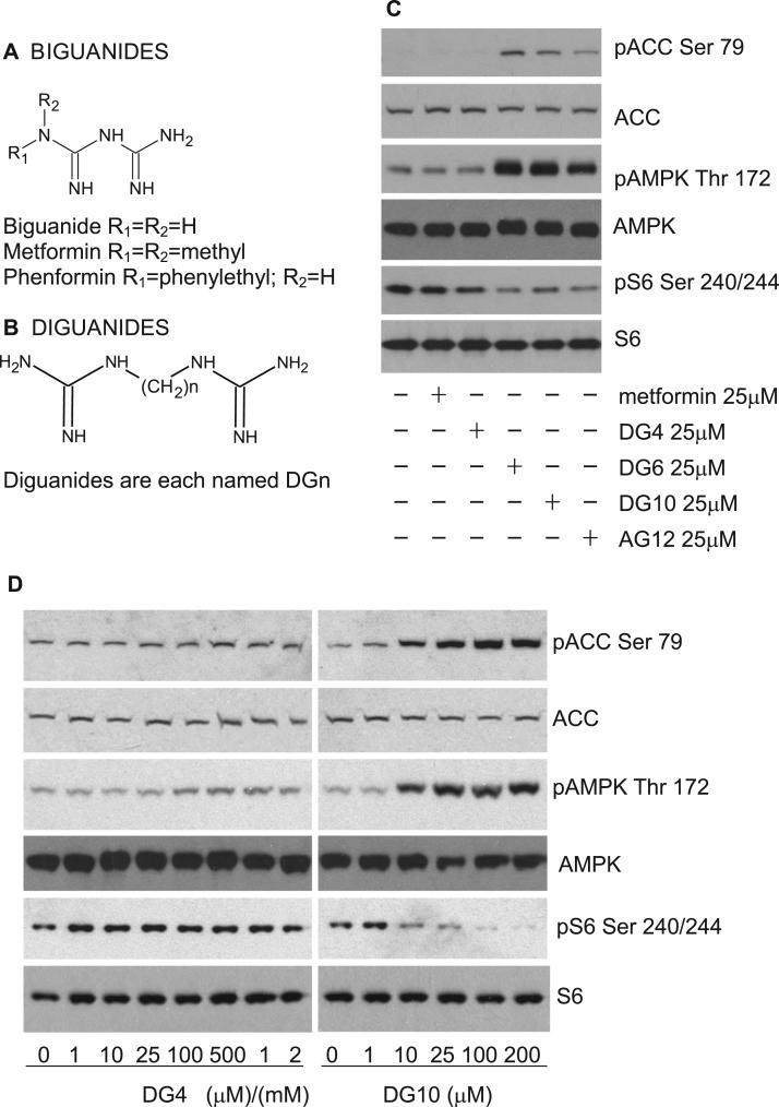 https://cdn.ncbi.nlm.nih.gov/pmc/blobs/9cf9/5609876/019f681e0d2d/gr1.jpg