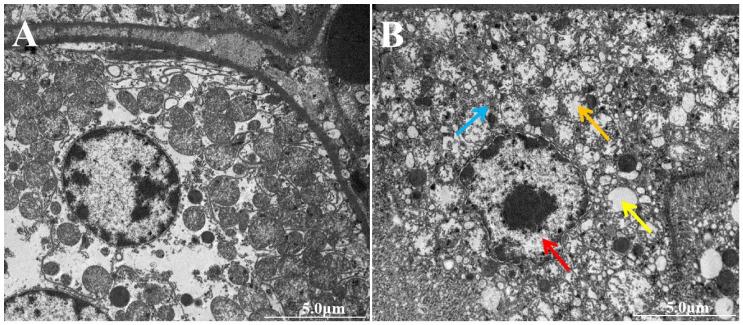https://cdn.ncbi.nlm.nih.gov/pmc/blobs/9cfb/11860441/06980eb3ee86/vetsci-12-00130-g004.jpg