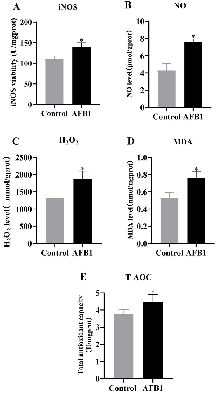 https://cdn.ncbi.nlm.nih.gov/pmc/blobs/9cfb/11860441/4610a20d8537/vetsci-12-00130-g005.jpg