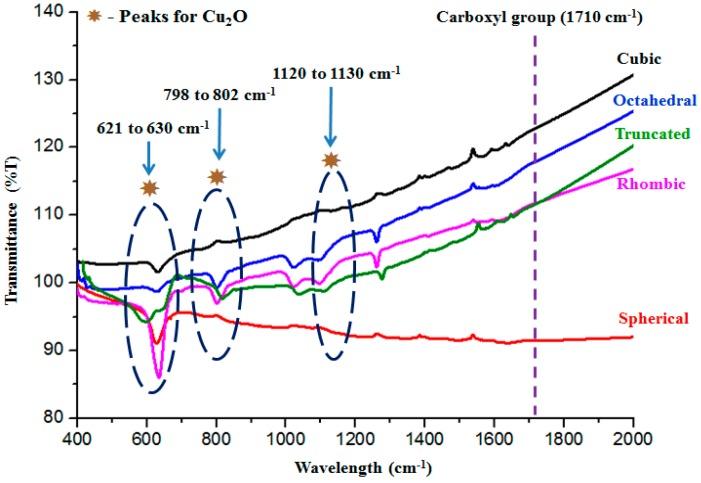 https://cdn.ncbi.nlm.nih.gov/pmc/blobs/9cfb/6154712/551a2e05e5cb/molecules-22-00677-g007.jpg