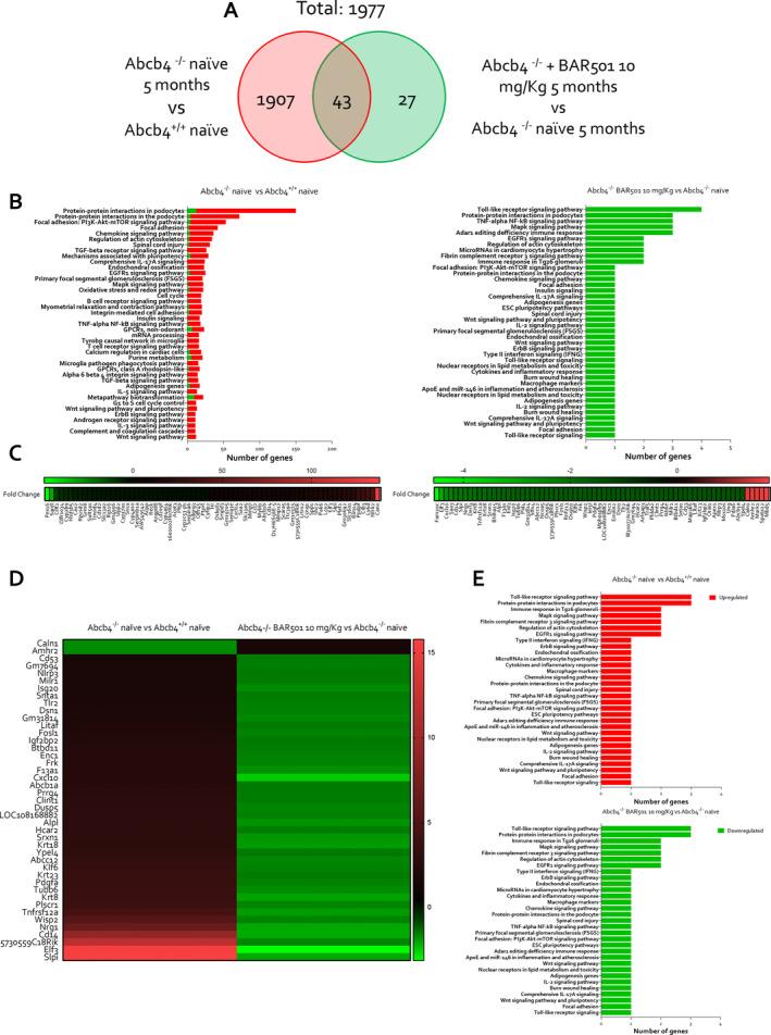 https://cdn.ncbi.nlm.nih.gov/pmc/blobs/9cfe/11727439/2536de5d062b/LIV-45-0-g008.jpg