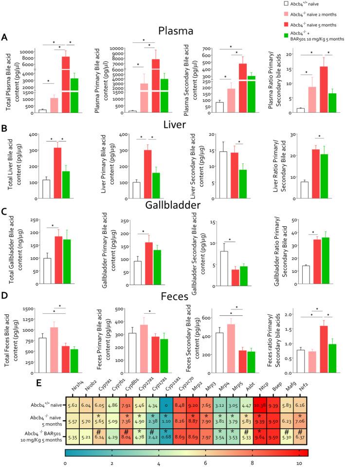 https://cdn.ncbi.nlm.nih.gov/pmc/blobs/9cfe/11727439/2d442dbc9849/LIV-45-0-g002.jpg