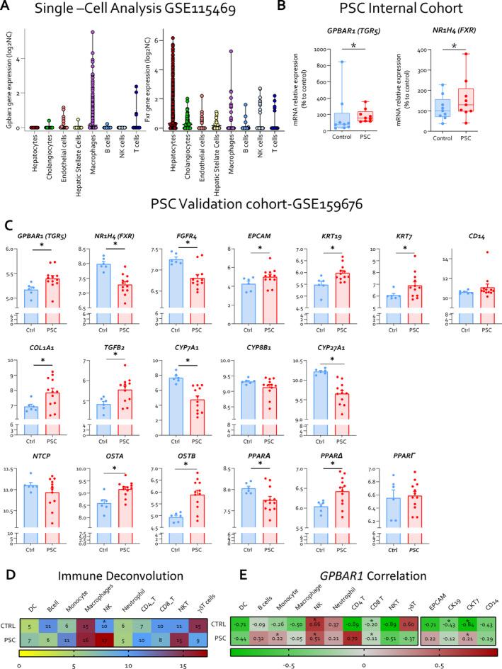 https://cdn.ncbi.nlm.nih.gov/pmc/blobs/9cfe/11727439/59f59a1c1242/LIV-45-0-g004.jpg