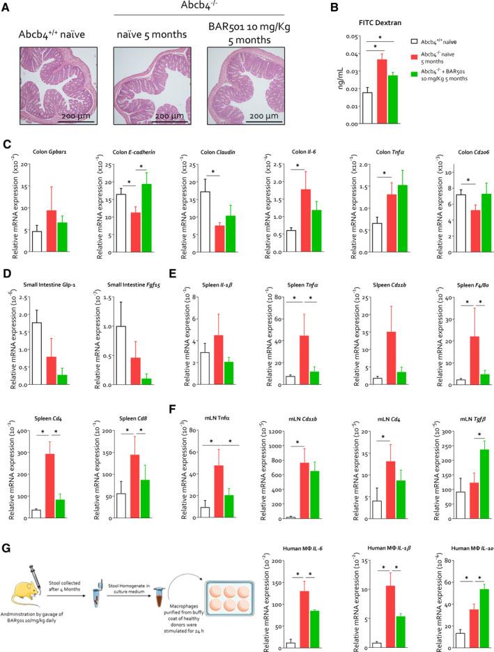 https://cdn.ncbi.nlm.nih.gov/pmc/blobs/9cfe/11727439/5be893781a12/LIV-45-0-g006.jpg