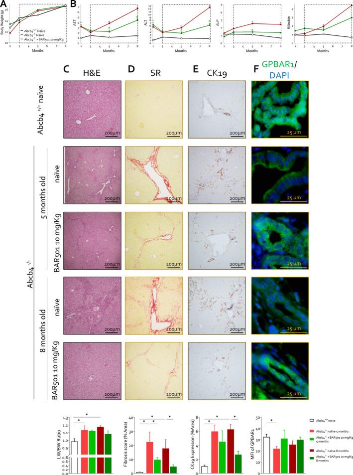 https://cdn.ncbi.nlm.nih.gov/pmc/blobs/9cfe/11727439/c3dbaf7fdb50/LIV-45-0-g009.jpg
