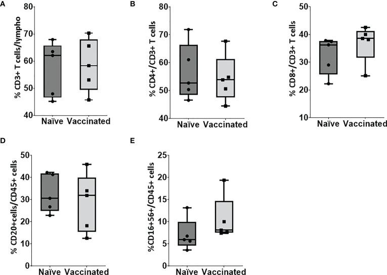 https://cdn.ncbi.nlm.nih.gov/pmc/blobs/9cff/10175569/9c277bea31be/fimmu-14-1161571-g003.jpg