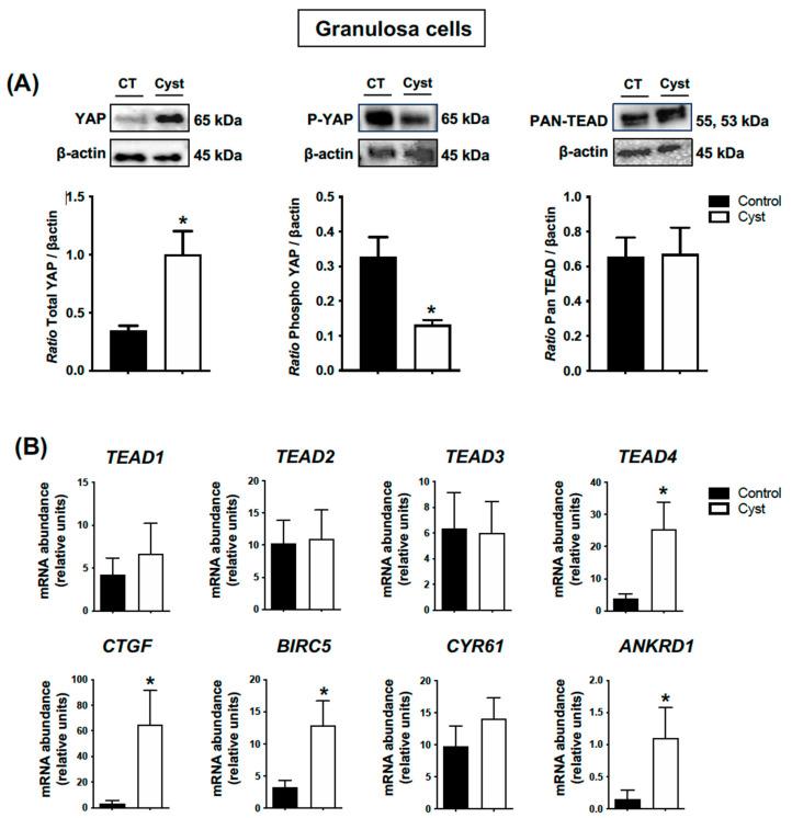 https://cdn.ncbi.nlm.nih.gov/pmc/blobs/9cff/10525513/c2739b208beb/animals-13-02851-g004.jpg