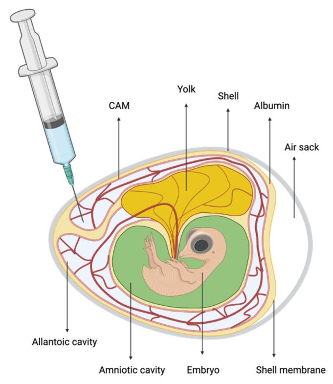 https://cdn.ncbi.nlm.nih.gov/pmc/blobs/9d01/8300270/895592929eb2/animals-11-01962-g002.jpg