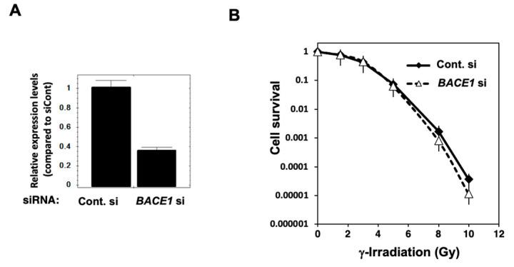 https://cdn.ncbi.nlm.nih.gov/pmc/blobs/9d03/10814450/8b3d45edf996/cimb-46-00028-g003a.jpg