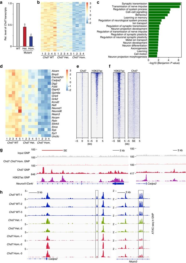 https://cdn.ncbi.nlm.nih.gov/pmc/blobs/9d03/5364396/c5a03ea5e273/ncomms14758-f4.jpg