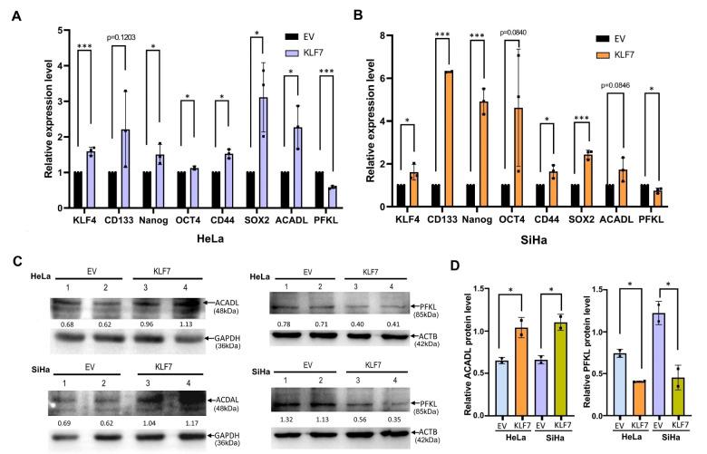 https://cdn.ncbi.nlm.nih.gov/pmc/blobs/9d04/11877147/02cdc618207e/abbs-2024-077-t3.jpg