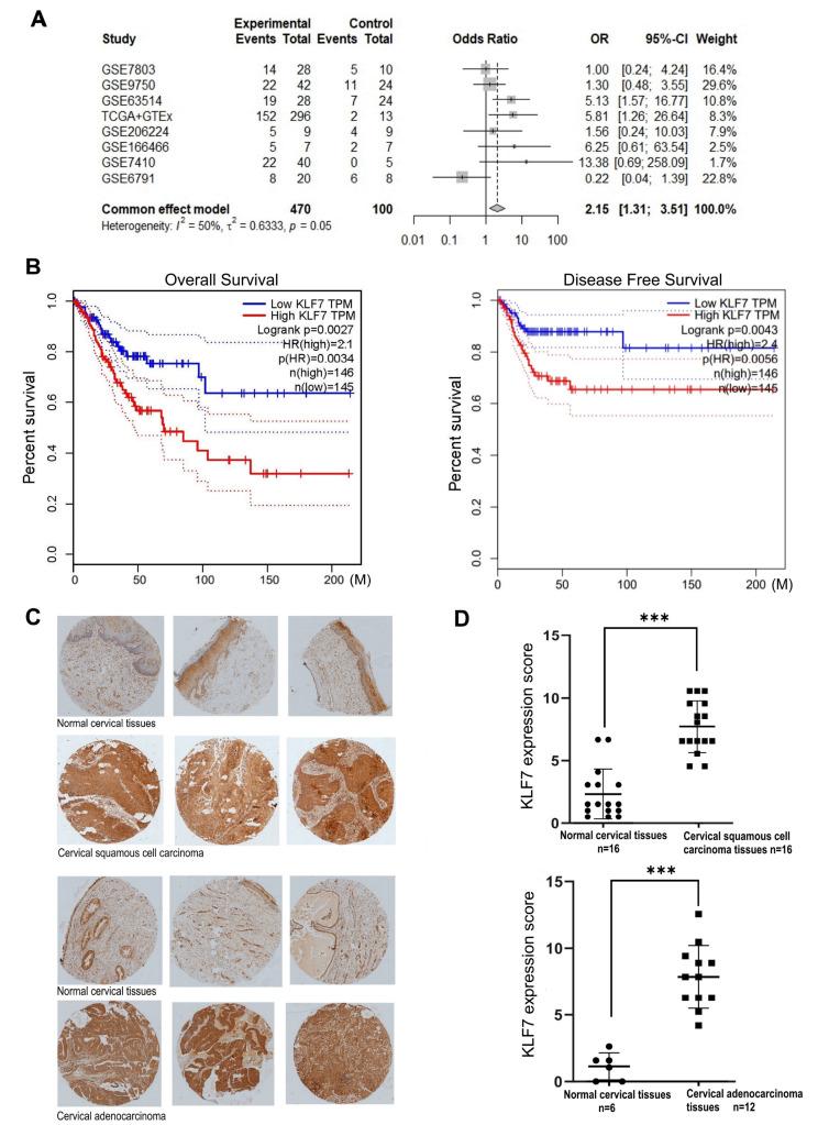 https://cdn.ncbi.nlm.nih.gov/pmc/blobs/9d04/11877147/84d57bcb9329/abbs-2024-077-t1.jpg