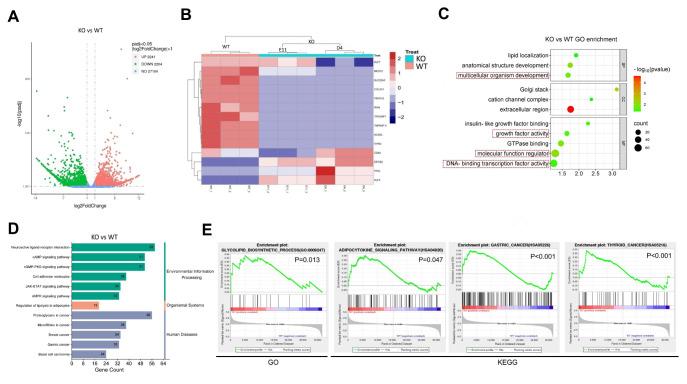 https://cdn.ncbi.nlm.nih.gov/pmc/blobs/9d04/11877147/a263c7ebf382/abbs-2024-077-t5.jpg