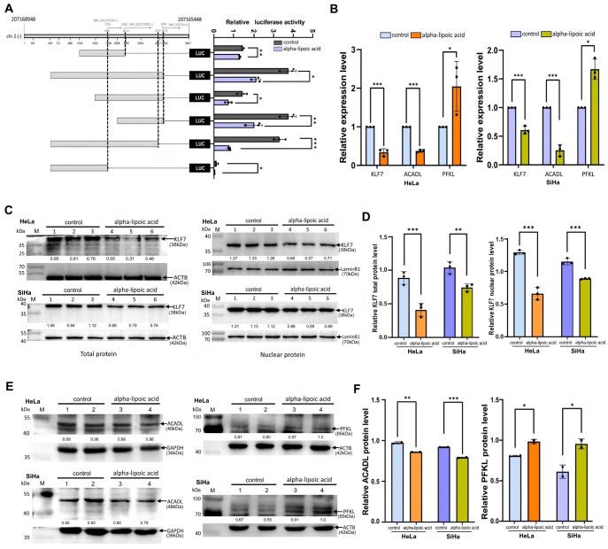 https://cdn.ncbi.nlm.nih.gov/pmc/blobs/9d04/11877147/d0180d895d78/abbs-2024-077-t7.jpg