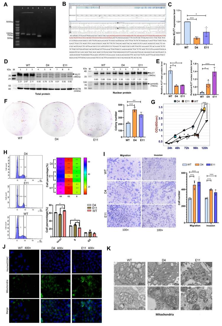 https://cdn.ncbi.nlm.nih.gov/pmc/blobs/9d04/11877147/dab5d52d29f8/abbs-2024-077-t4.jpg