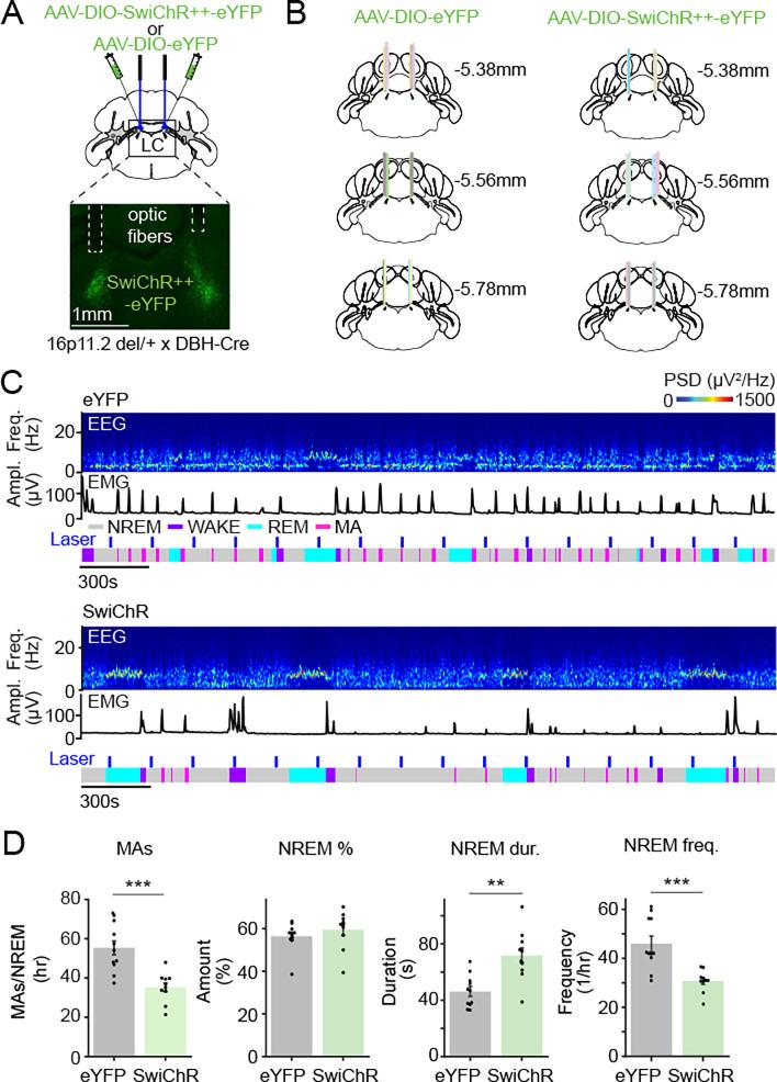 https://cdn.ncbi.nlm.nih.gov/pmc/blobs/9d06/10980164/01383fa55a23/nihpp-rs3877710v1-f0004.jpg