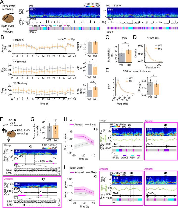 https://cdn.ncbi.nlm.nih.gov/pmc/blobs/9d06/10980164/44df7ecb1d47/nihpp-rs3877710v1-f0001.jpg