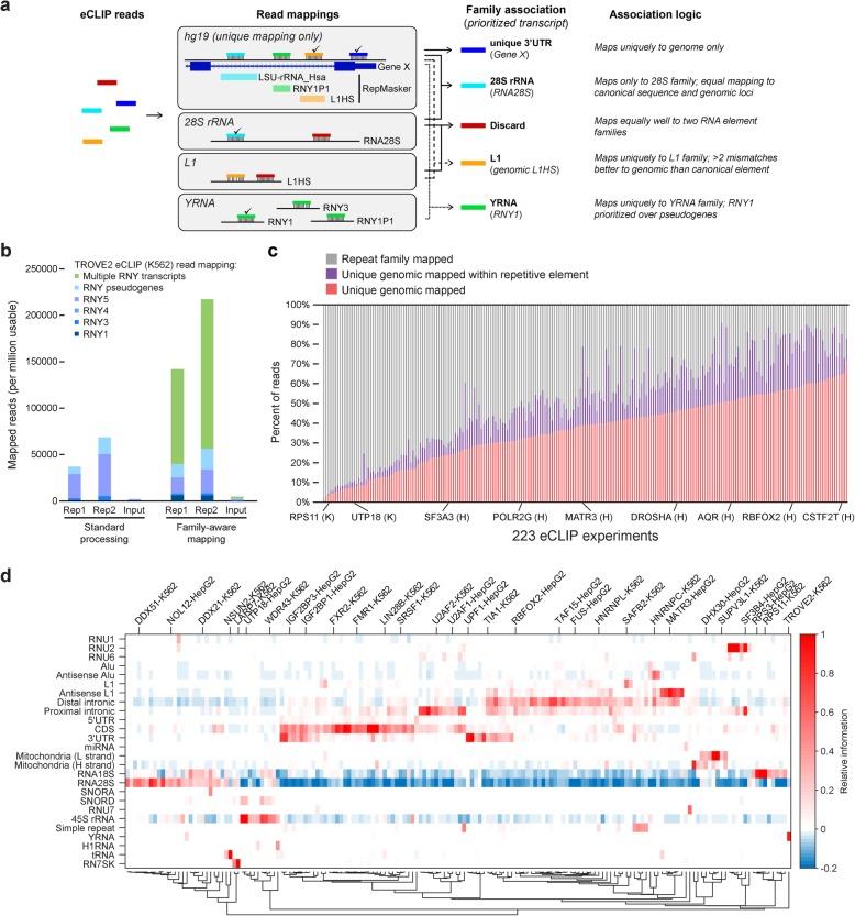 https://cdn.ncbi.nlm.nih.gov/pmc/blobs/9d09/7137325/81adcc0baf49/13059_2020_1982_Fig2_HTML.jpg
