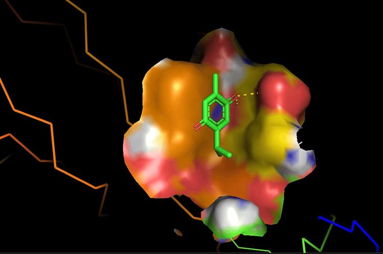 https://cdn.ncbi.nlm.nih.gov/pmc/blobs/9d0b/11296693/783183306104/cureus-0016-00000063727-i01.jpg