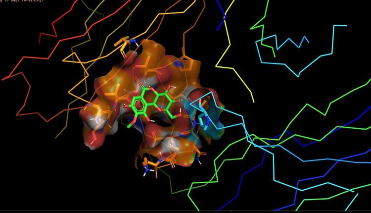 https://cdn.ncbi.nlm.nih.gov/pmc/blobs/9d0b/11296693/87b6a519646e/cureus-0016-00000063727-i02.jpg