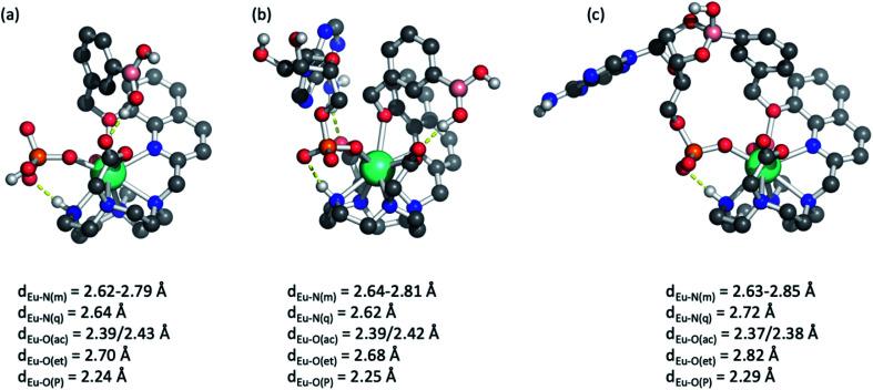 https://cdn.ncbi.nlm.nih.gov/pmc/blobs/9d0b/8943852/07808e8d42bf/d1sc05377a-f5.jpg
