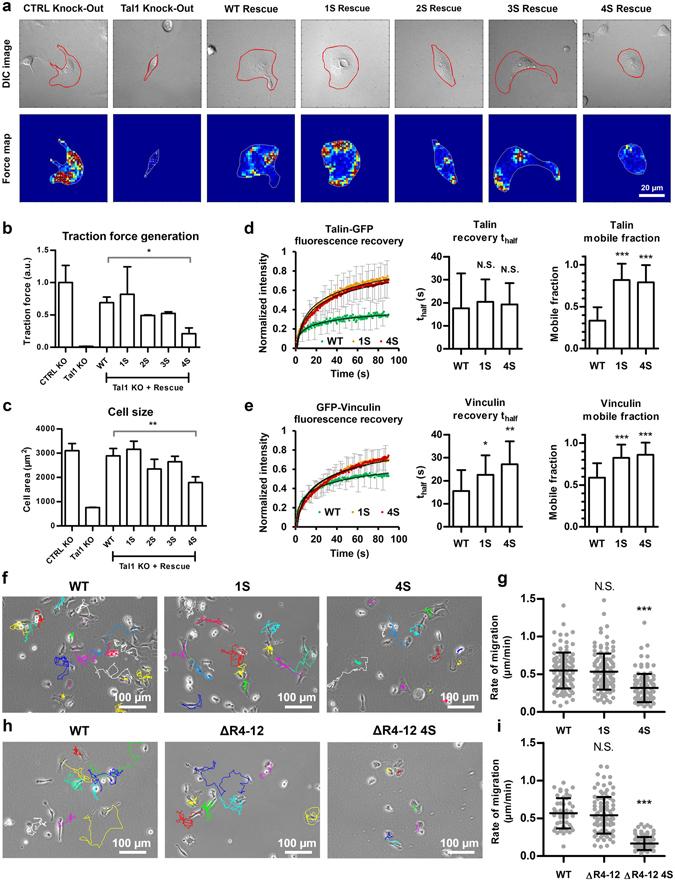 https://cdn.ncbi.nlm.nih.gov/pmc/blobs/9d0c/5472591/84b45eb2b8ae/41598_2017_3335_Fig4_HTML.jpg