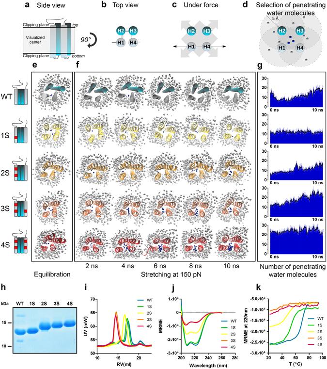 https://cdn.ncbi.nlm.nih.gov/pmc/blobs/9d0c/5472591/b8e093d3a631/41598_2017_3335_Fig2_HTML.jpg