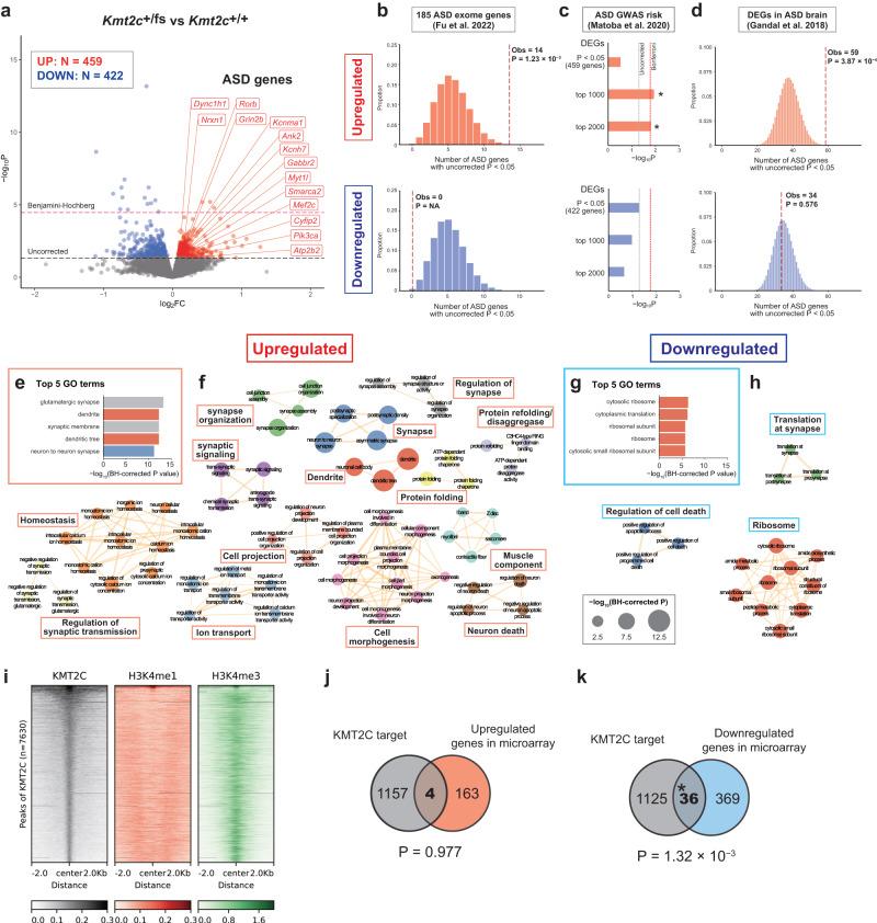 https://cdn.ncbi.nlm.nih.gov/pmc/blobs/9d0f/11420081/543419c793c0/41380_2024_2479_Fig2_HTML.jpg
