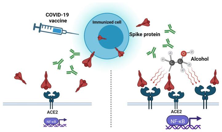 https://cdn.ncbi.nlm.nih.gov/pmc/blobs/9d0f/9967163/01c5a2133863/pathogens-12-00163-g001.jpg