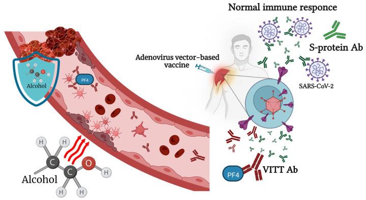 https://cdn.ncbi.nlm.nih.gov/pmc/blobs/9d0f/9967163/d92228f7d8bf/pathogens-12-00163-g002.jpg