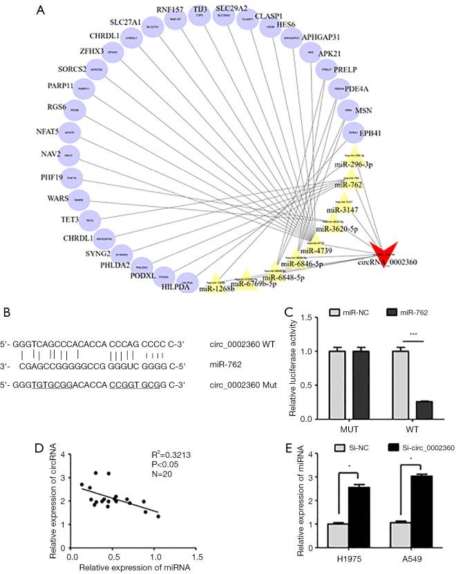 https://cdn.ncbi.nlm.nih.gov/pmc/blobs/9d10/11384312/ed831e7cda14/tcr-13-08-4172-f4.jpg