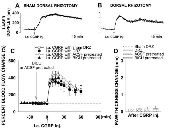 https://cdn.ncbi.nlm.nih.gov/pmc/blobs/9d12/2174436/8b4d0dec428f/1744-8069-3-30-2.jpg
