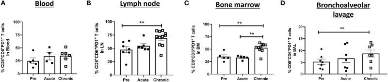 https://cdn.ncbi.nlm.nih.gov/pmc/blobs/9d12/6961594/006635b6a5be/fimmu-10-03005-g0002.jpg