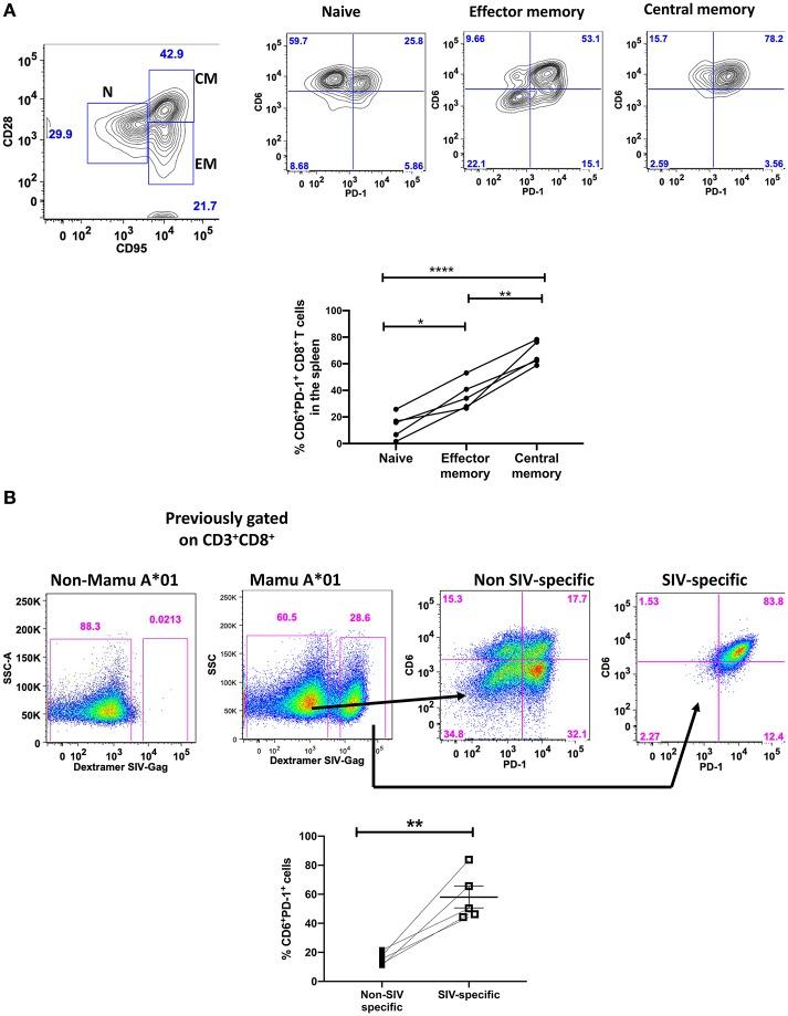 https://cdn.ncbi.nlm.nih.gov/pmc/blobs/9d12/6961594/54b437b2f9a2/fimmu-10-03005-g0003.jpg
