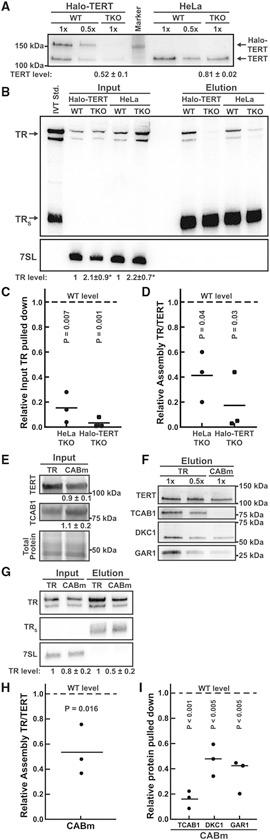 https://cdn.ncbi.nlm.nih.gov/pmc/blobs/9d14/10569210/51f03ceec2f5/nihms-1912777-f0003.jpg