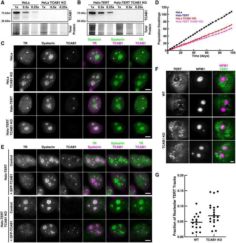 https://cdn.ncbi.nlm.nih.gov/pmc/blobs/9d14/10569210/58befff4b8f8/nihms-1912777-f0002.jpg