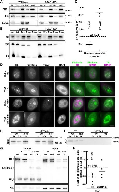 https://cdn.ncbi.nlm.nih.gov/pmc/blobs/9d14/10569210/986400b2ef8c/nihms-1912777-f0007.jpg