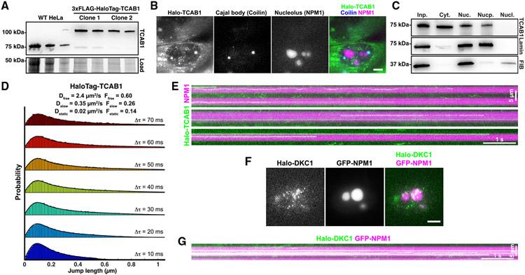 https://cdn.ncbi.nlm.nih.gov/pmc/blobs/9d14/10569210/a9ea3697eade/nihms-1912777-f0006.jpg