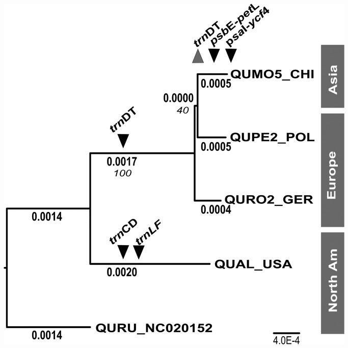 https://cdn.ncbi.nlm.nih.gov/pmc/blobs/9d14/4924829/1c6a1387a4d9/pone.0158221.g001.jpg