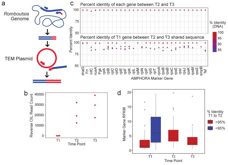 https://cdn.ncbi.nlm.nih.gov/pmc/blobs/9d14/8294855/53a3993d3591/elife-66834-fig3.jpg