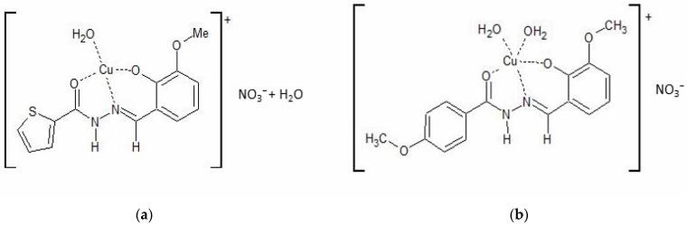 https://cdn.ncbi.nlm.nih.gov/pmc/blobs/9d18/10139133/e6845c3f3b57/ijms-24-07531-g001.jpg