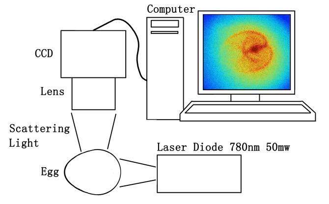 https://cdn.ncbi.nlm.nih.gov/pmc/blobs/9d18/3539197/a1dac3be0440/boe-4-1-32-g001.jpg
