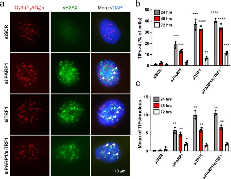 https://cdn.ncbi.nlm.nih.gov/pmc/blobs/9d18/9981704/c7f07ffa5dae/42003_2023_4596_Fig4_HTML.jpg