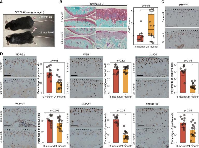 https://cdn.ncbi.nlm.nih.gov/pmc/blobs/9d19/10077735/e97c7eefde5a/fimmu-14-1077003-g007.jpg