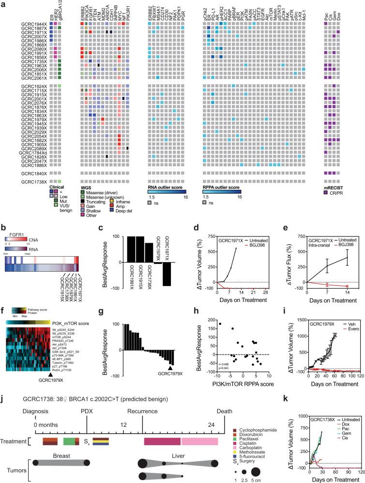https://cdn.ncbi.nlm.nih.gov/pmc/blobs/9d19/7298048/a81e056a53a1/42003_2020_1042_Fig6_HTML.jpg