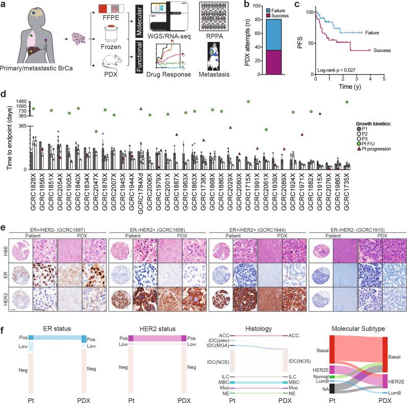https://cdn.ncbi.nlm.nih.gov/pmc/blobs/9d19/7298048/d12d63613e1d/42003_2020_1042_Fig1_HTML.jpg